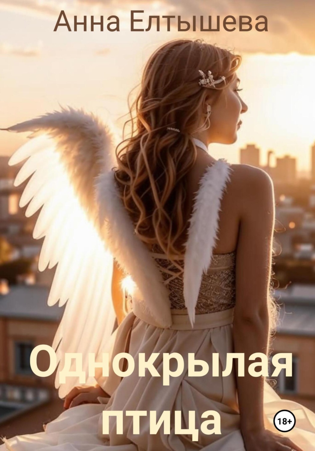 Обложка книги «Однокрылая птица»
