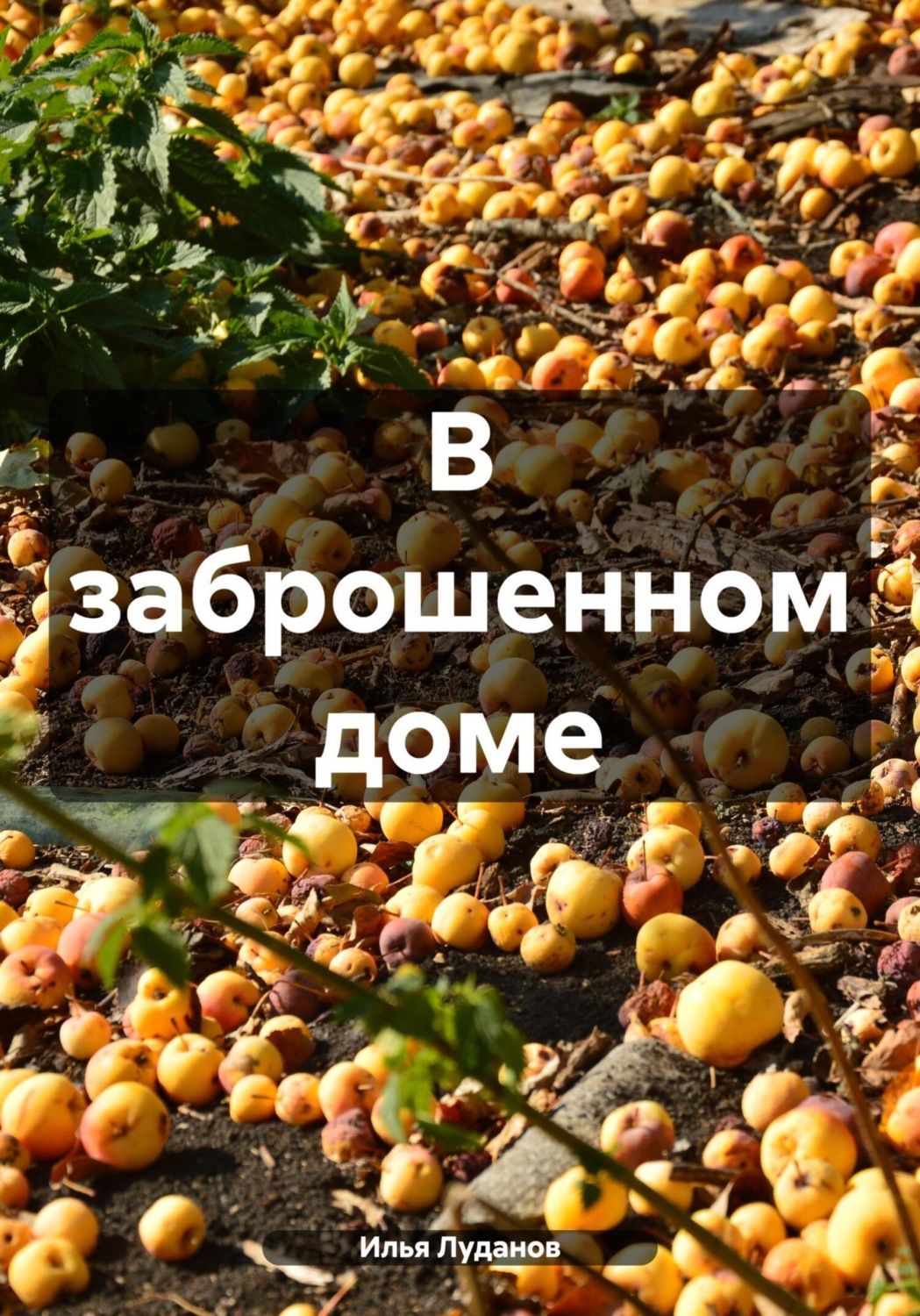 Обложка книги «В заброшенном доме»