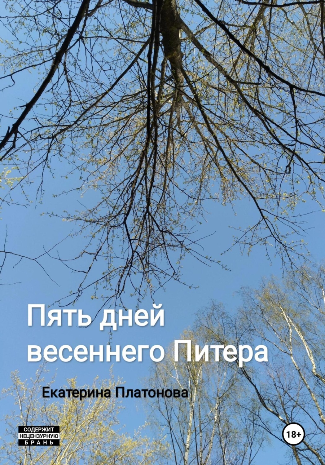 Обложка книги «Пять дней весеннего Питера»