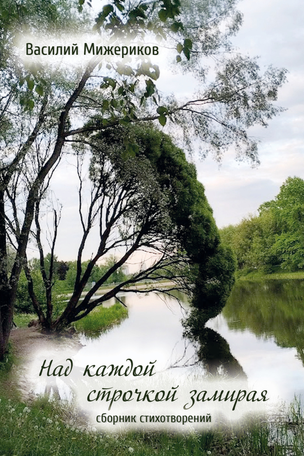 Обложка книги «Над каждой строчкой замирая»