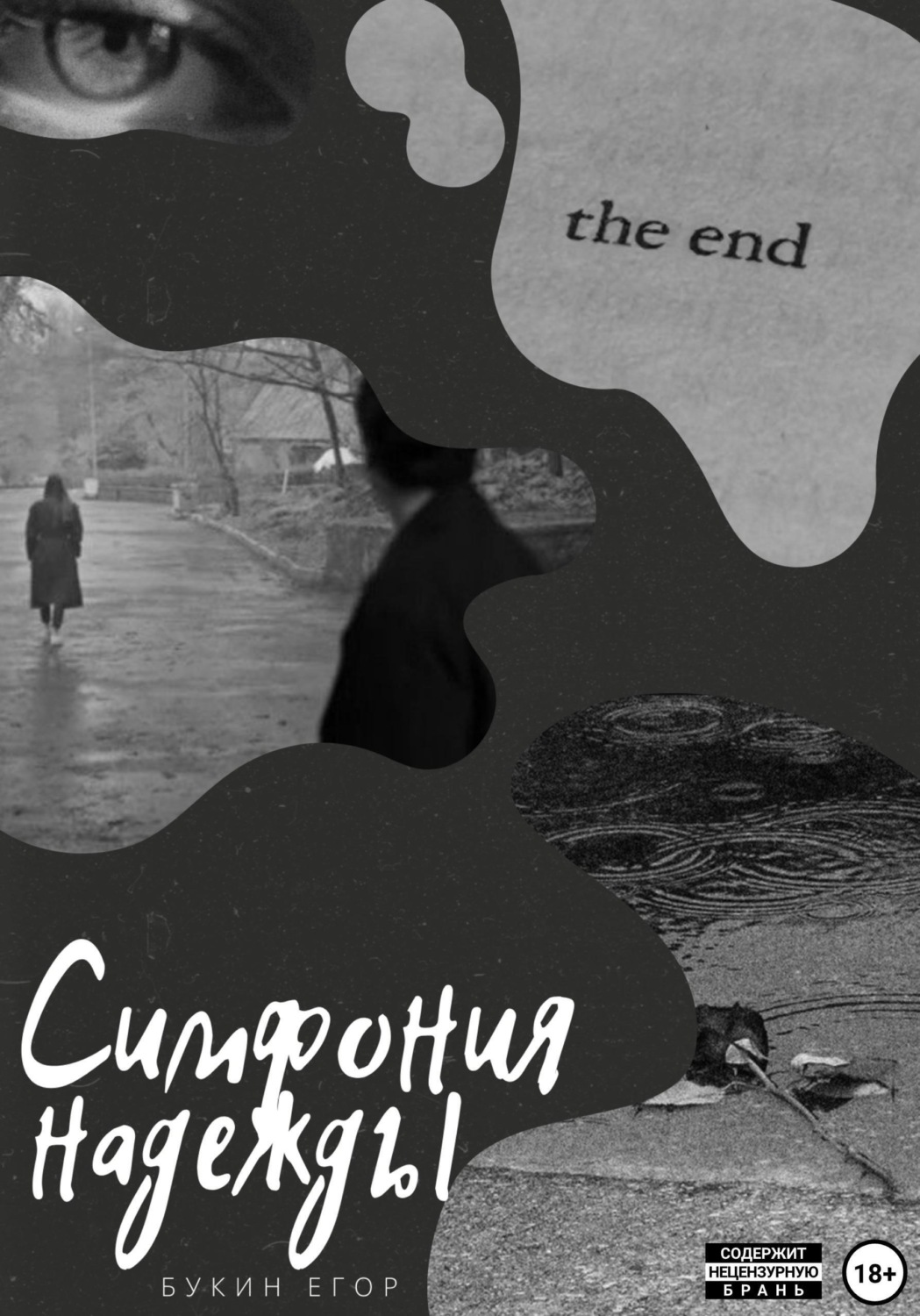 Обложка книги «Симфония надежды»