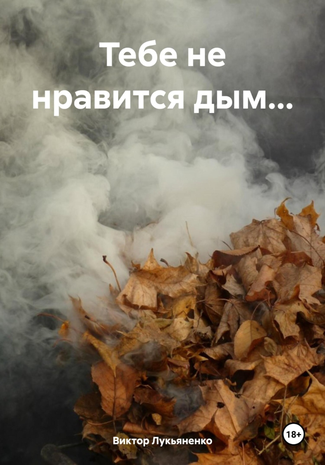 Обложка книги «Тебе не нравится дым…»