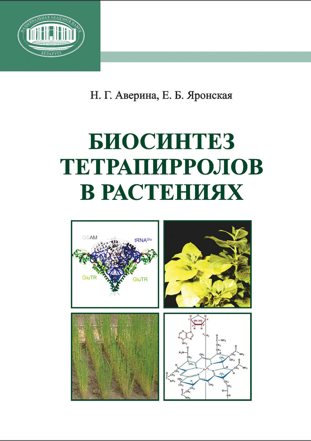 Обложка книги «Биосинтез тетрапирролов в растениях»