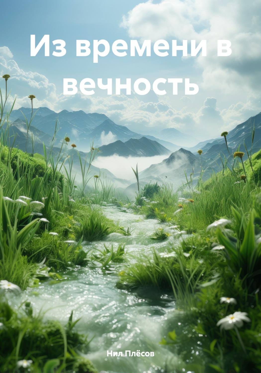 Обложка книги «Из времени в вечность»