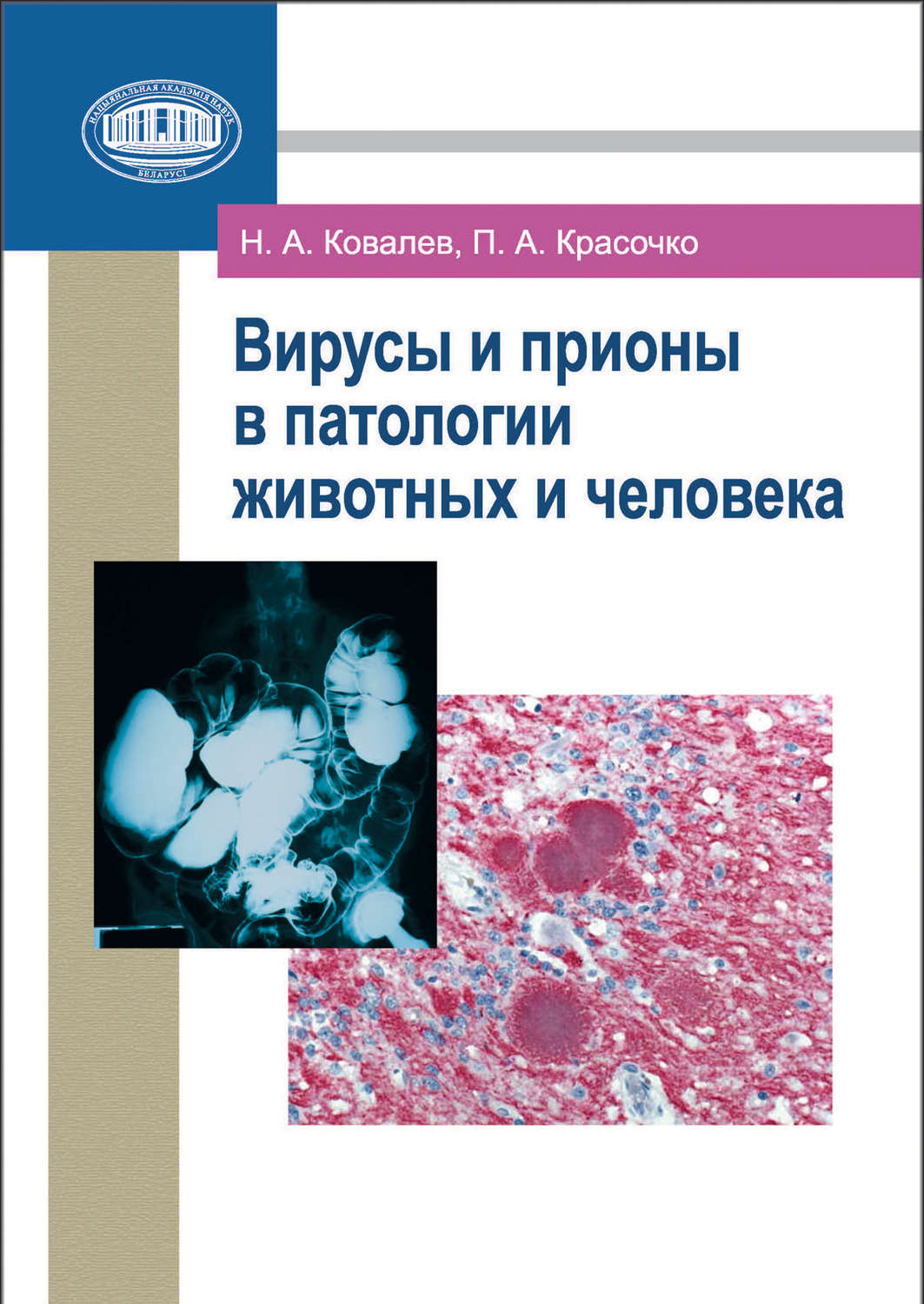 Обложка книги «Вирусы и прионы в патологии животных и человека»