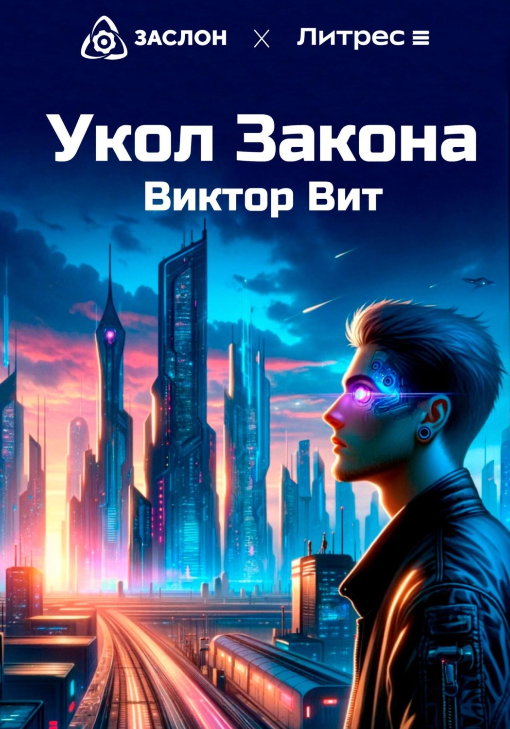 Обложка книги «Укол закона»