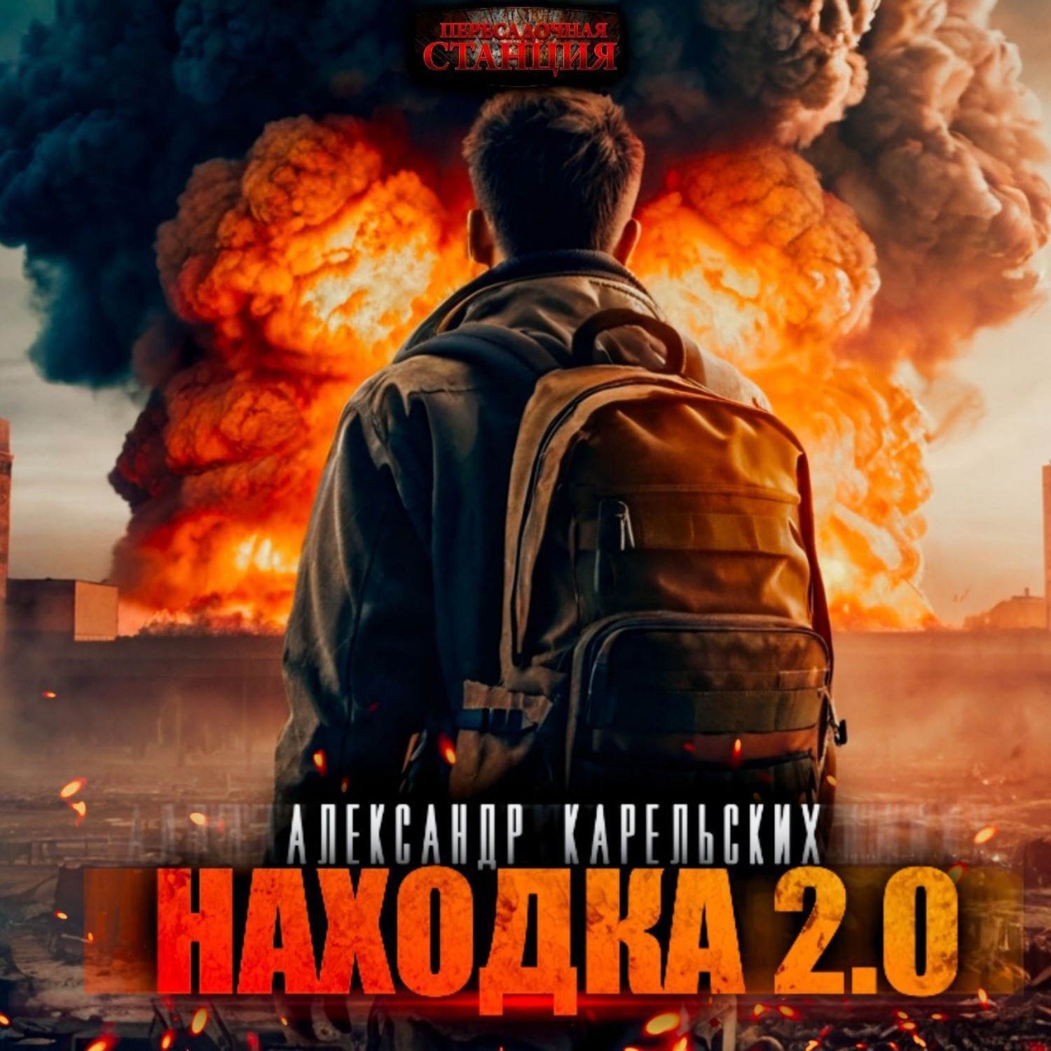 Обложка книги «Находка 2.0»