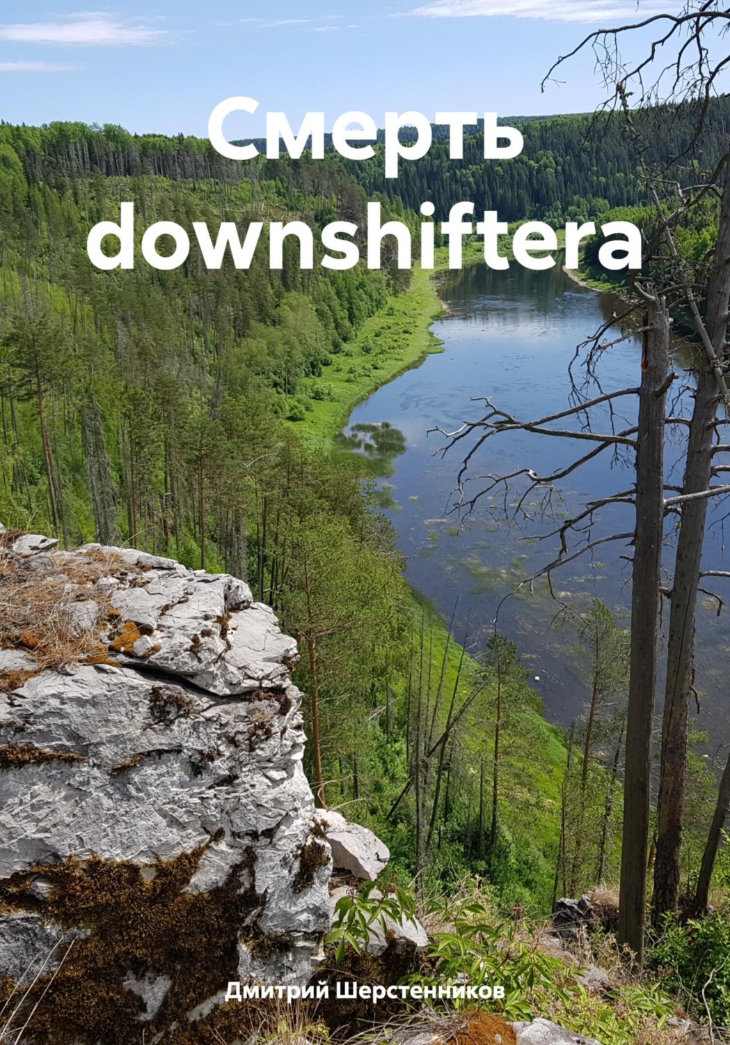 Обложка книги «Смерть downshiftera»