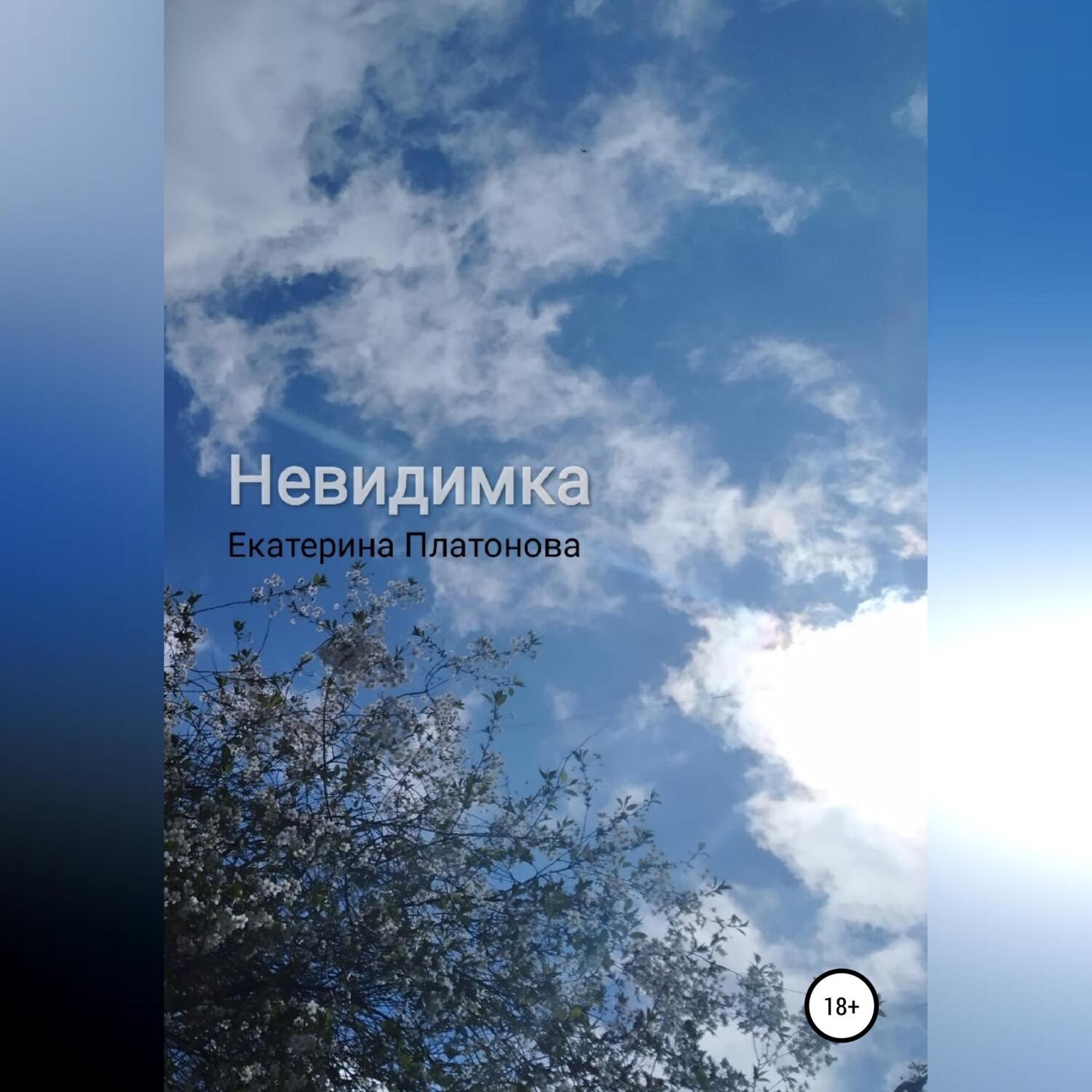 Обложка книги «Невидимка»