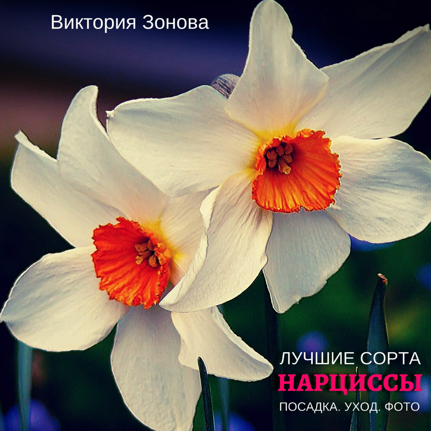 Обложка книги «Нарциссы. Лучшие сорта»