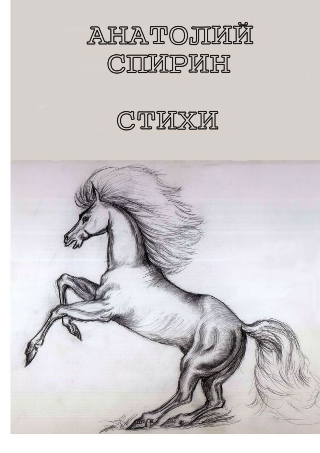 Обложка книги «Стихи»