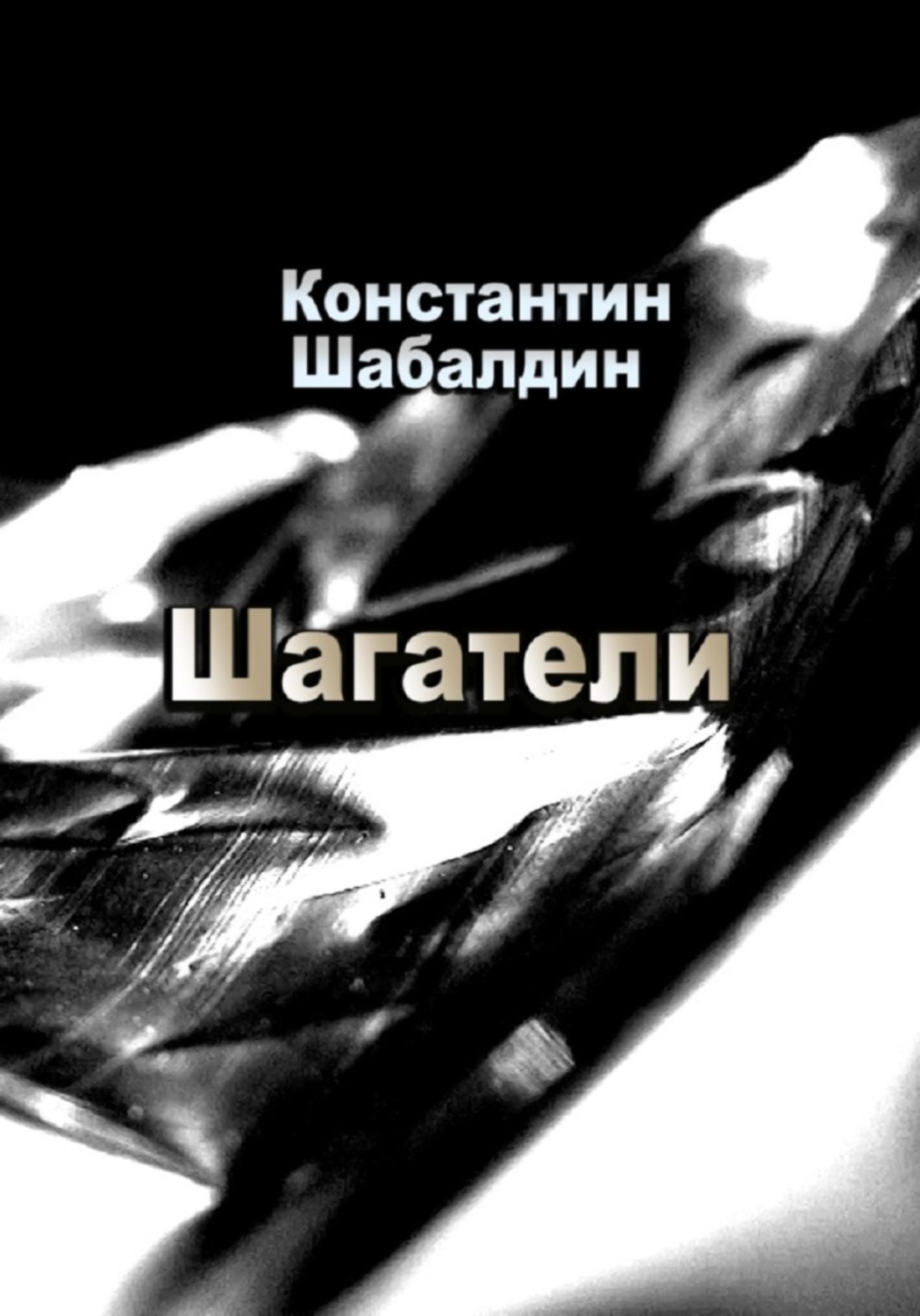 Обложка книги «Шагатели»