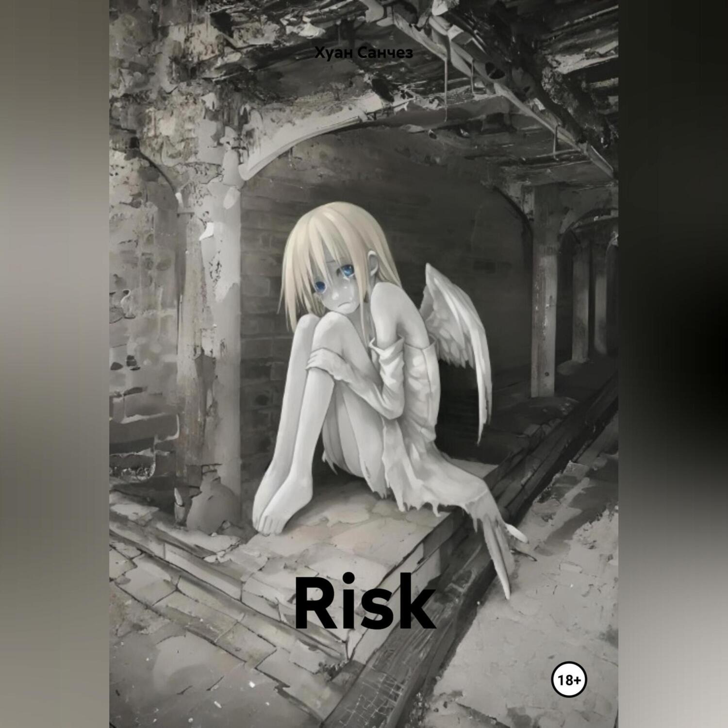Обложка книги «Risk»