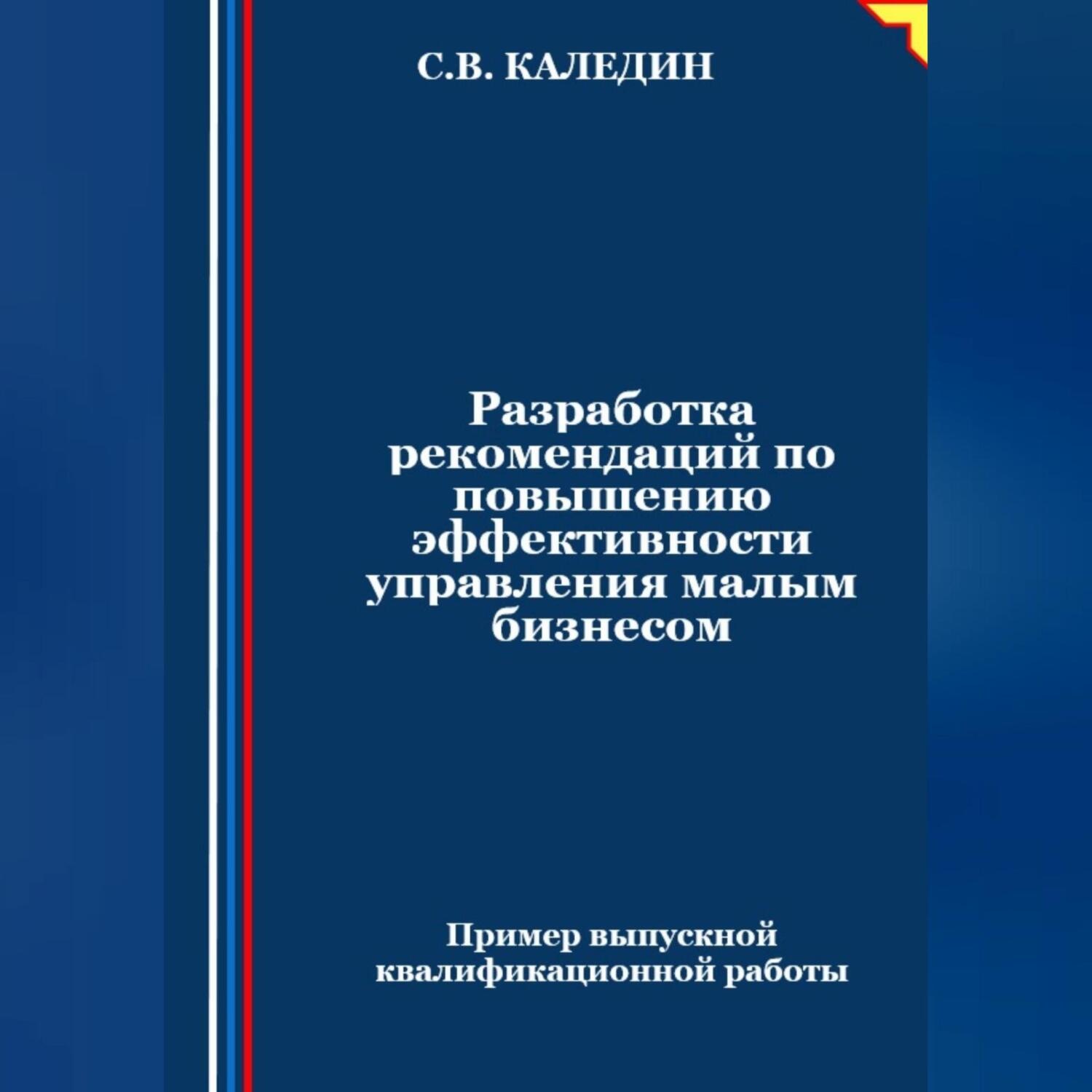Обложка книги «Разработка рекомендаций по повышению эффективности управления малым бизнесом»