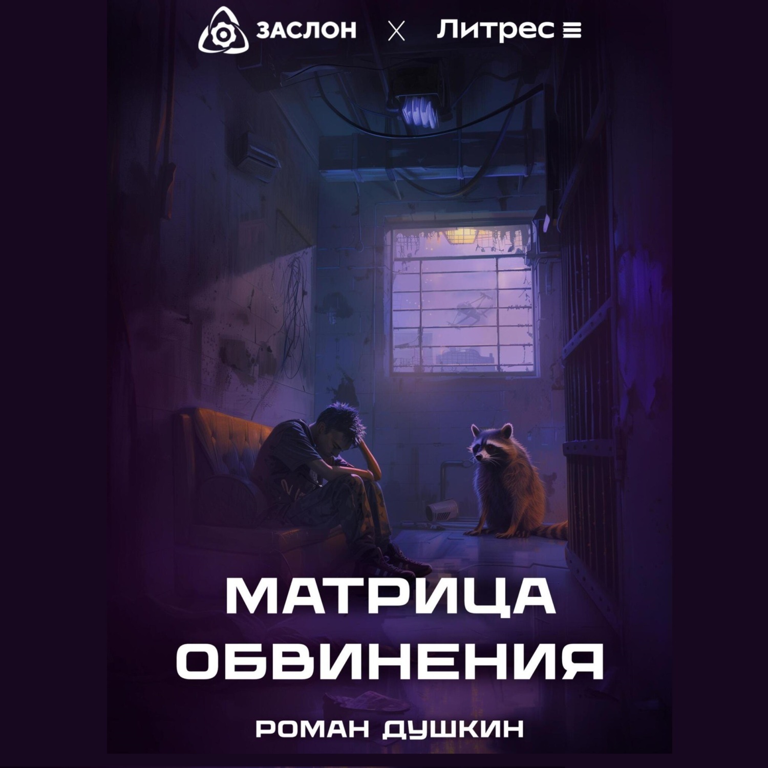 Обложка книги «Матрица обвинения»