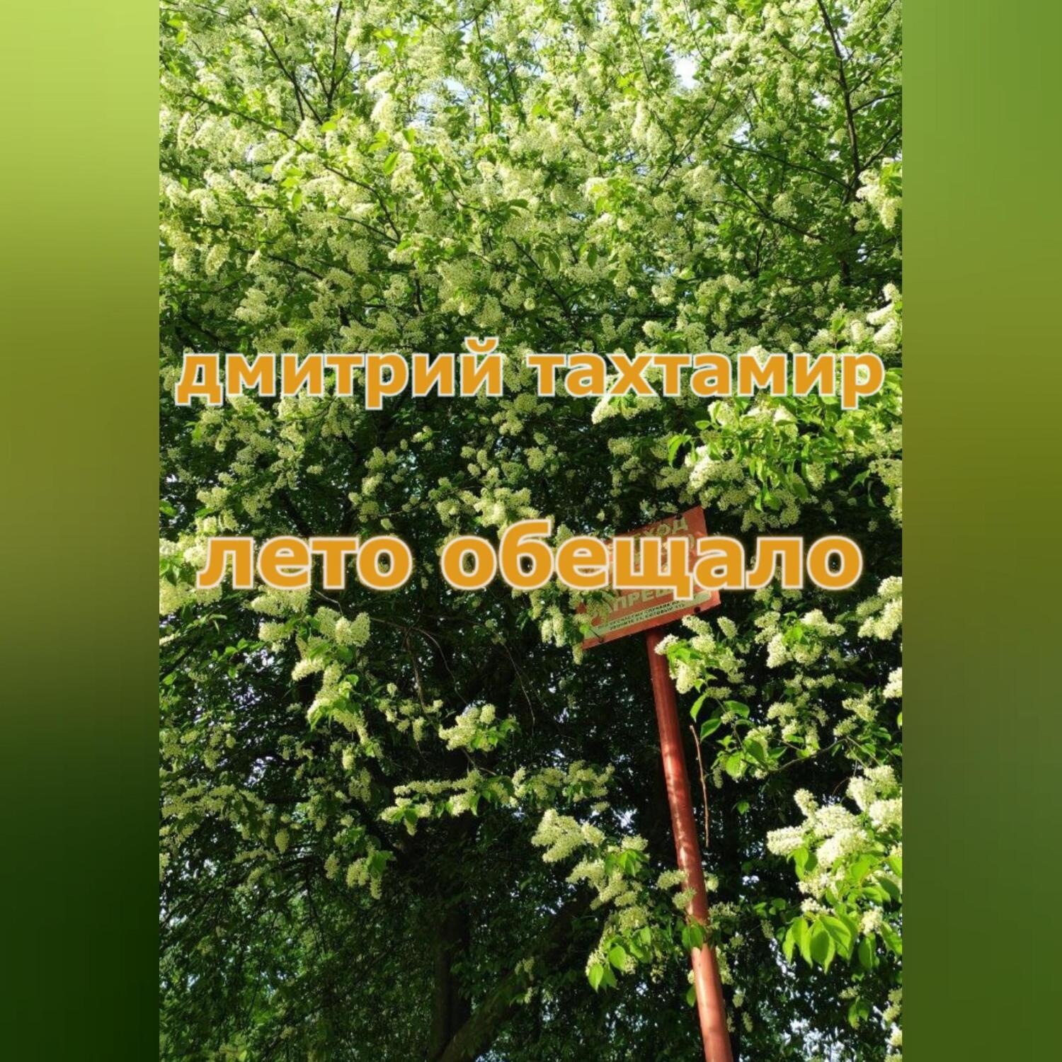 Обложка книги «Лето обещало»