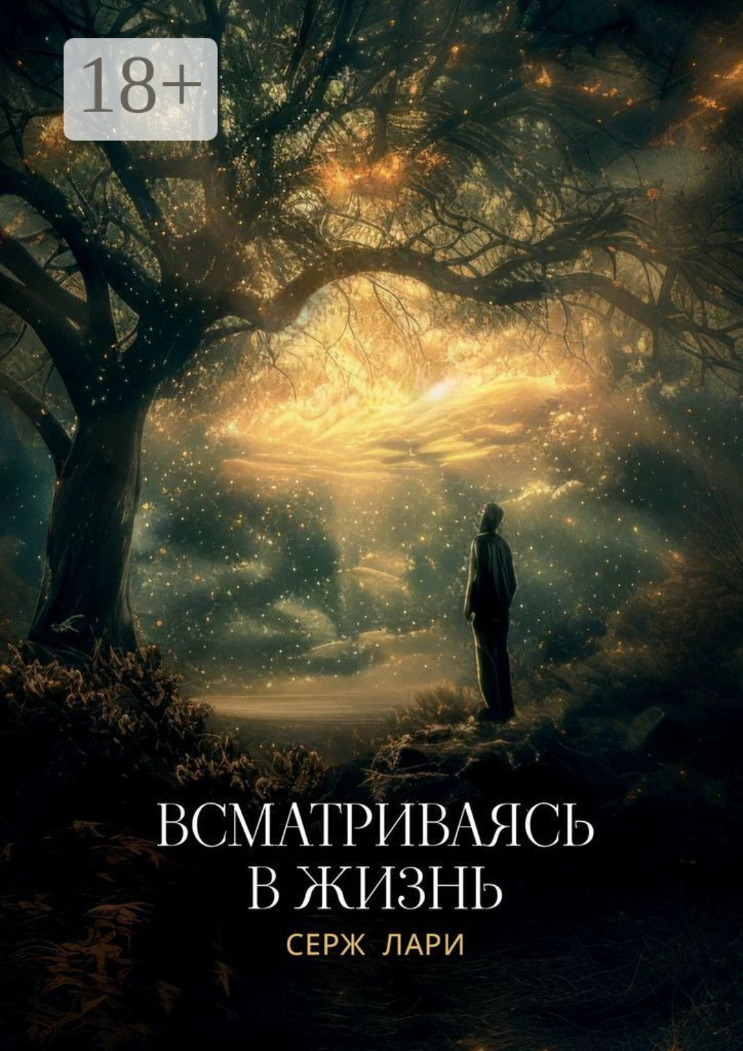 Обложка книги «Всматриваясь в жизнь»
