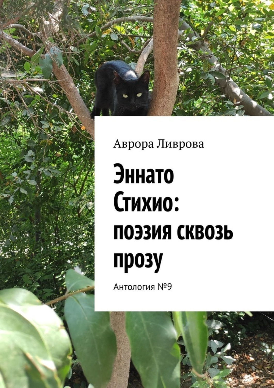 Обложка книги «Эннато Стихио: поэзия сквозь прозу. Антология №9»