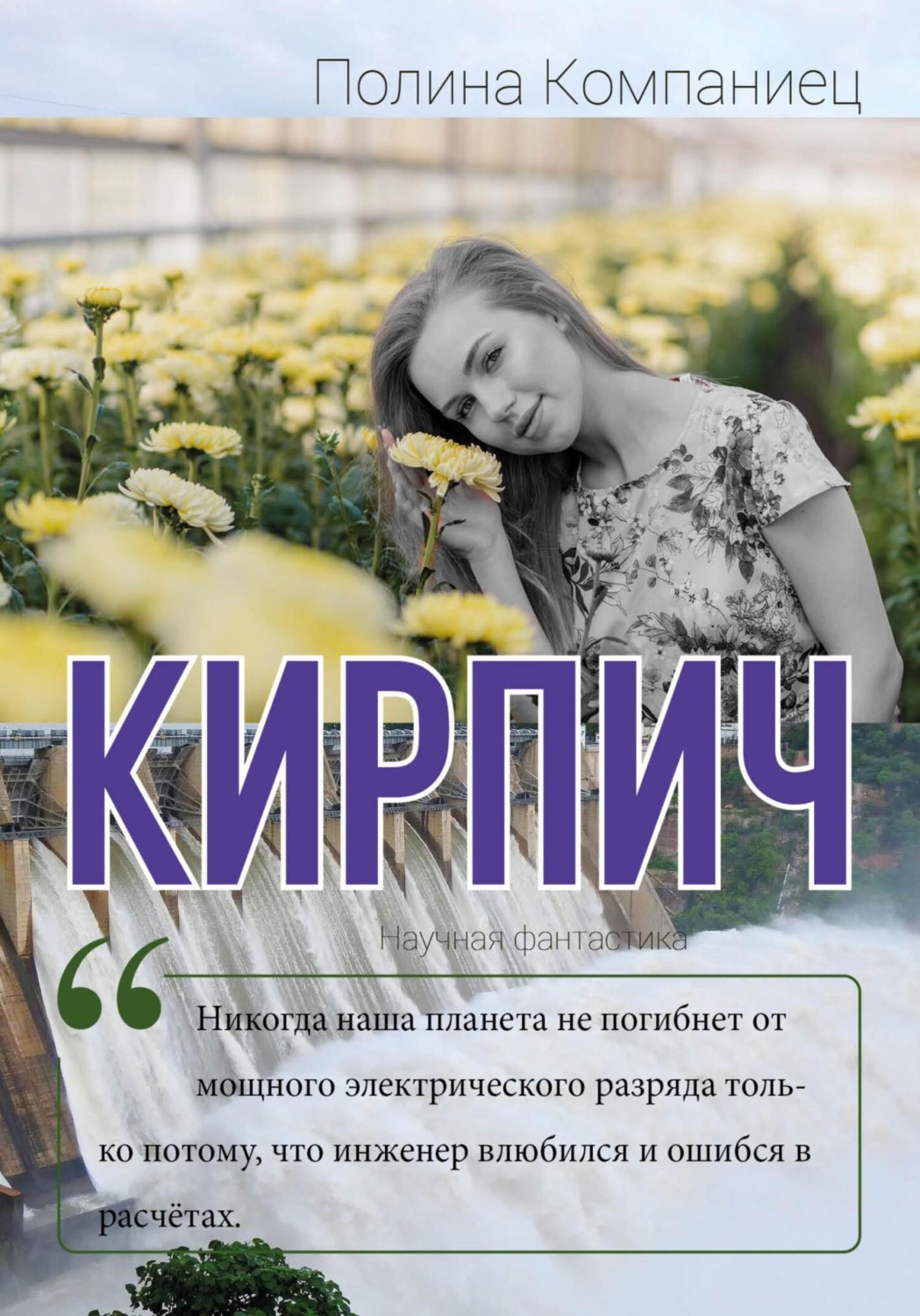 Обложка книги «Кирпич»