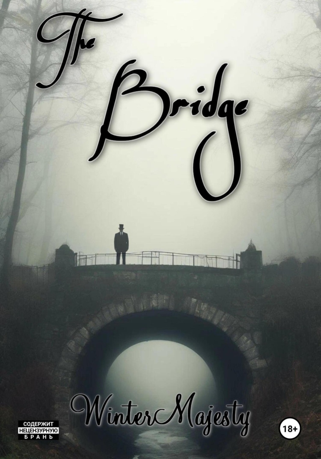 Обложка книги «The Bridge»