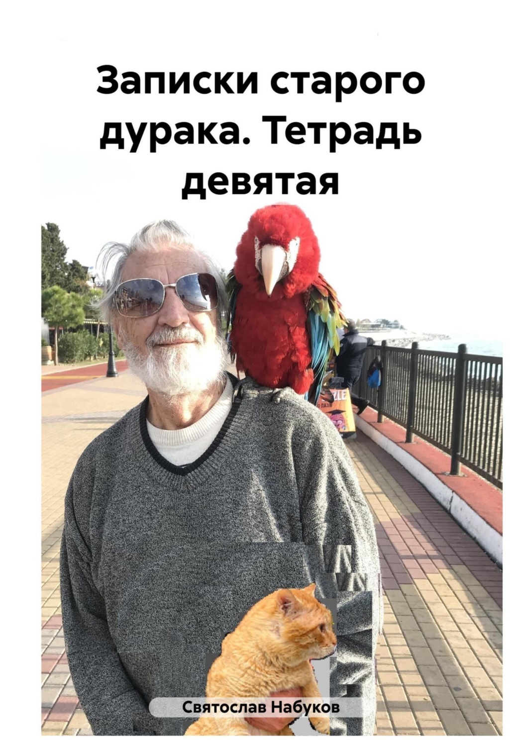 Обложка книги «Записки старого дурака. Тетрадь девятая»