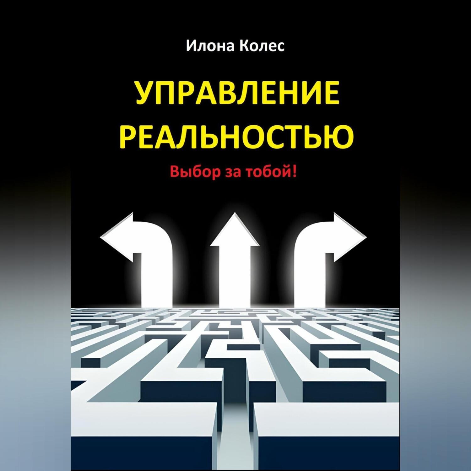 Обложка книги «Управление реальностью. Выбор за тобой!»