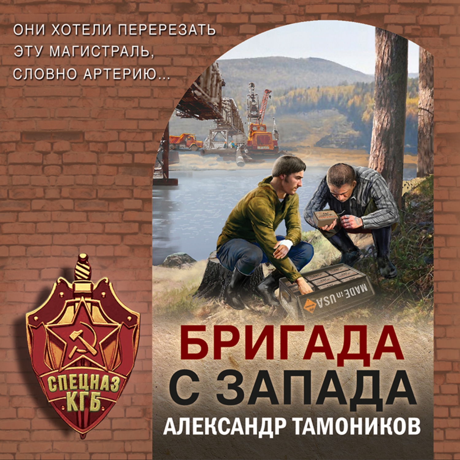 Обложка книги «Бригада с запада»