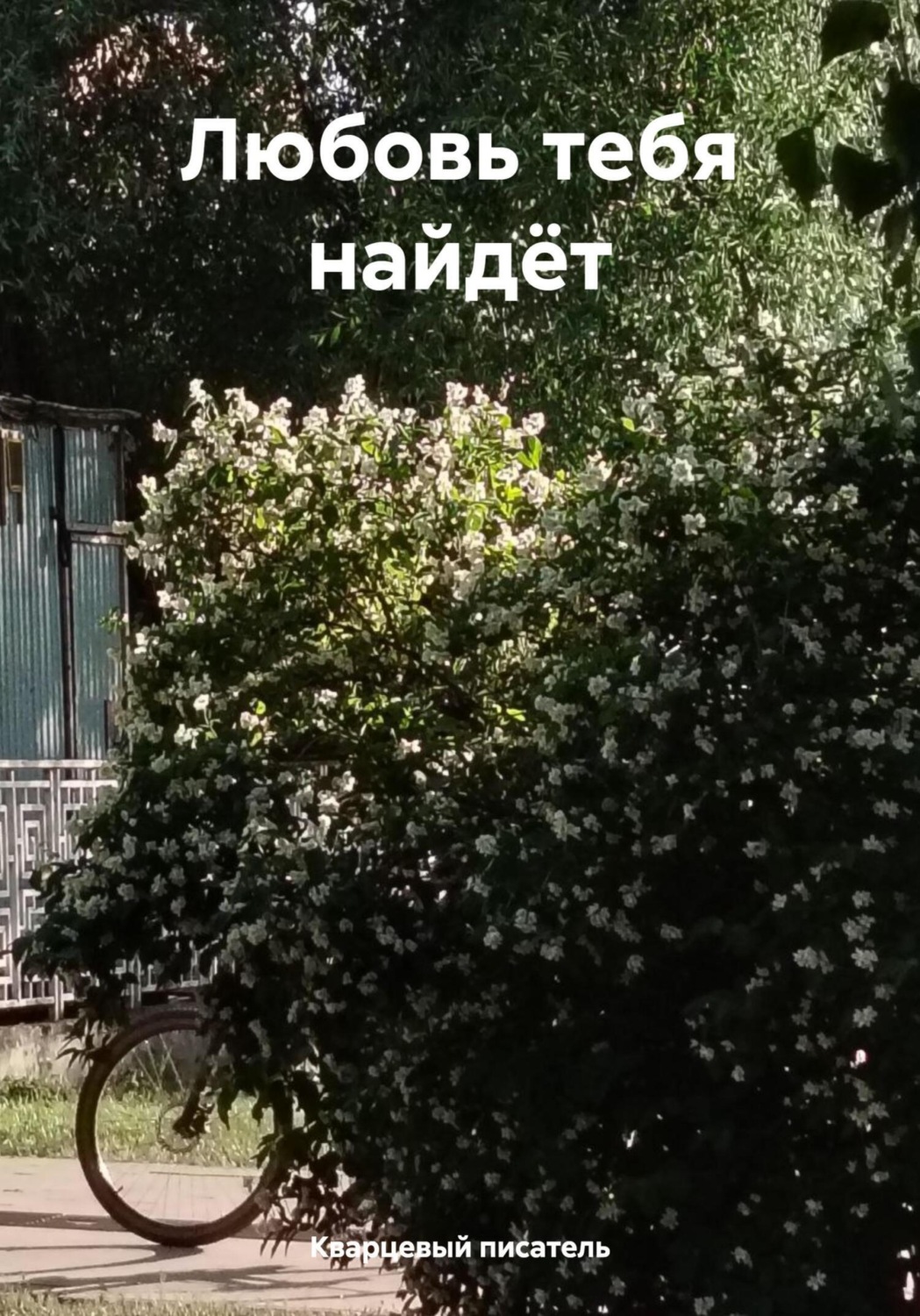 Обложка книги «Любовь тебя найдёт»