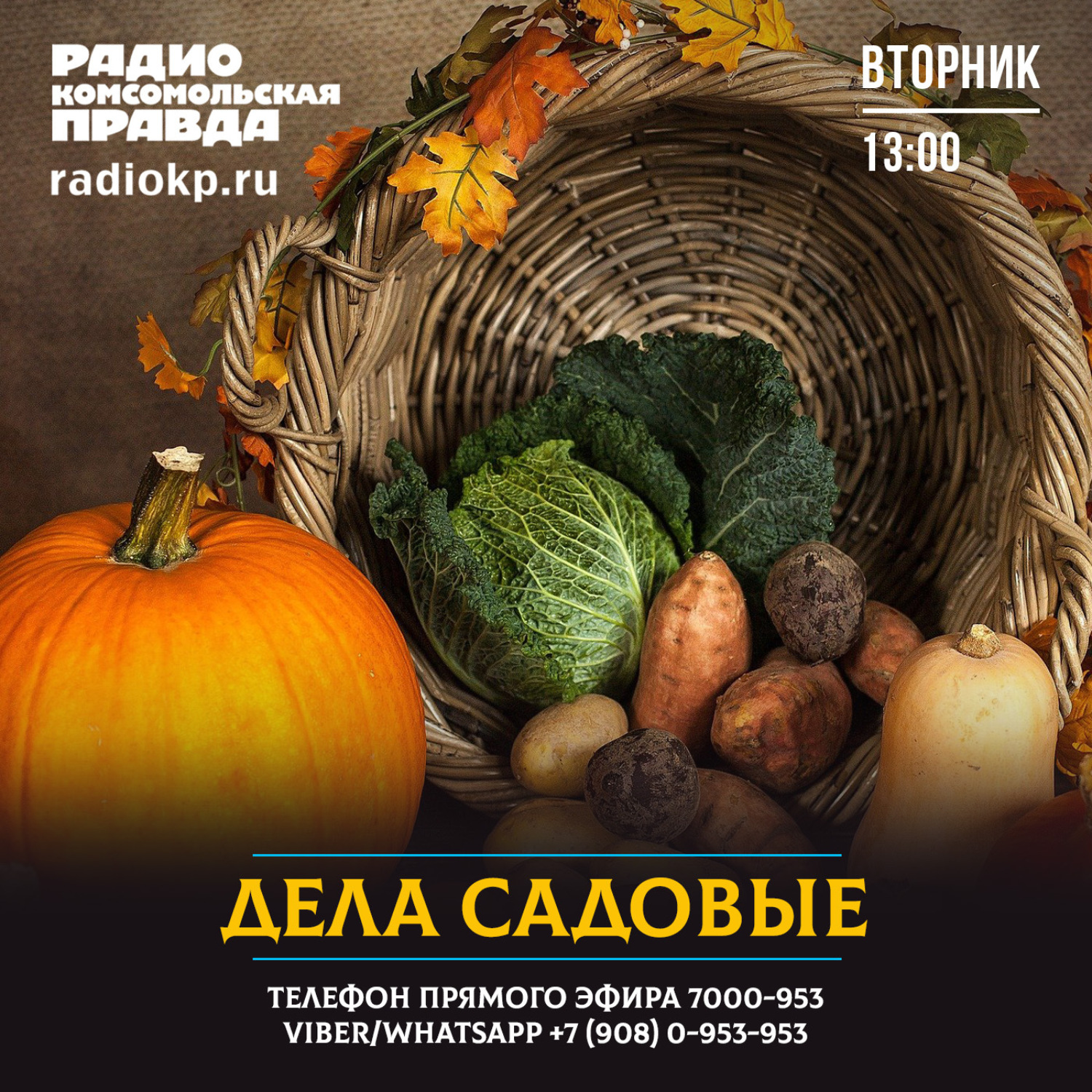 Обложка книги «Как перейти на прямые договоры электроснабжения своего садового участка?»