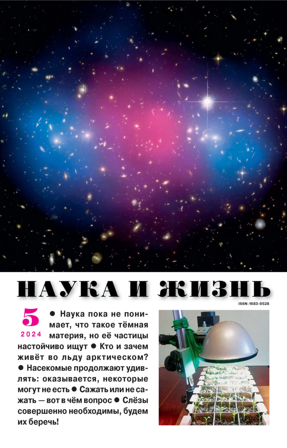 Обложка книги «Наука и жизнь №05/2024»