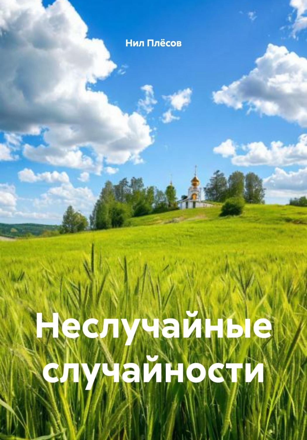Обложка книги «Неслучайные случайности»