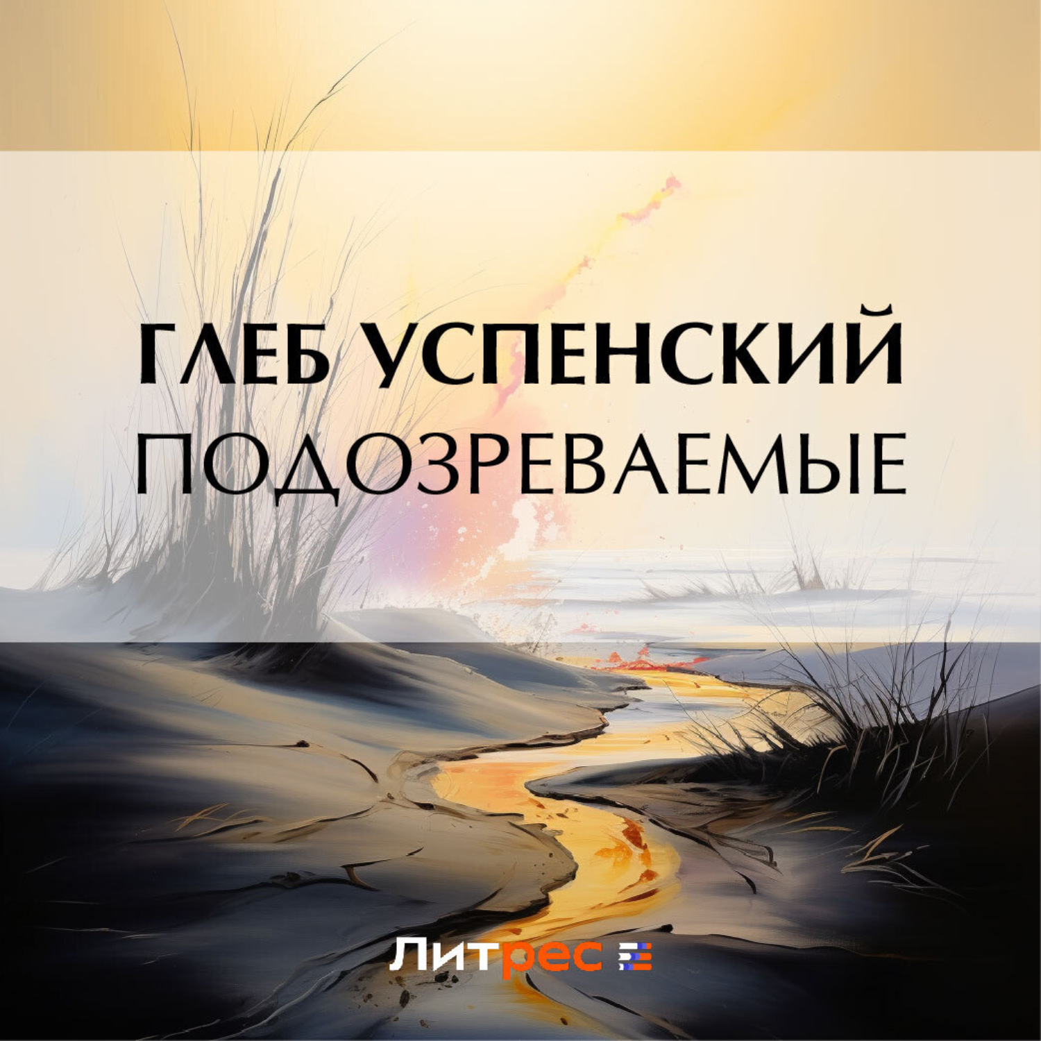 Обложка книги «Подозреваемые»