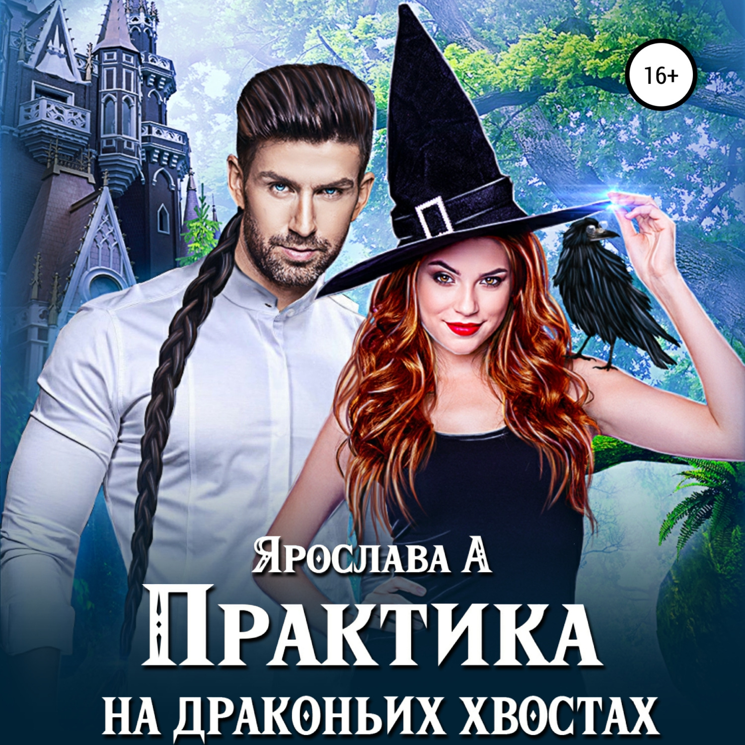 Обложка книги «Практика на драконьих хвостах»