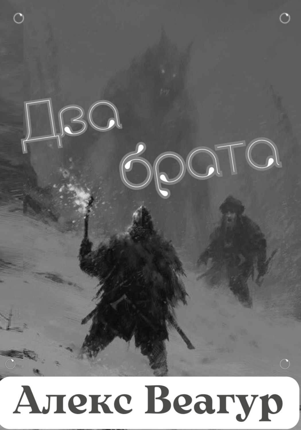 Обложка книги «Два брата»