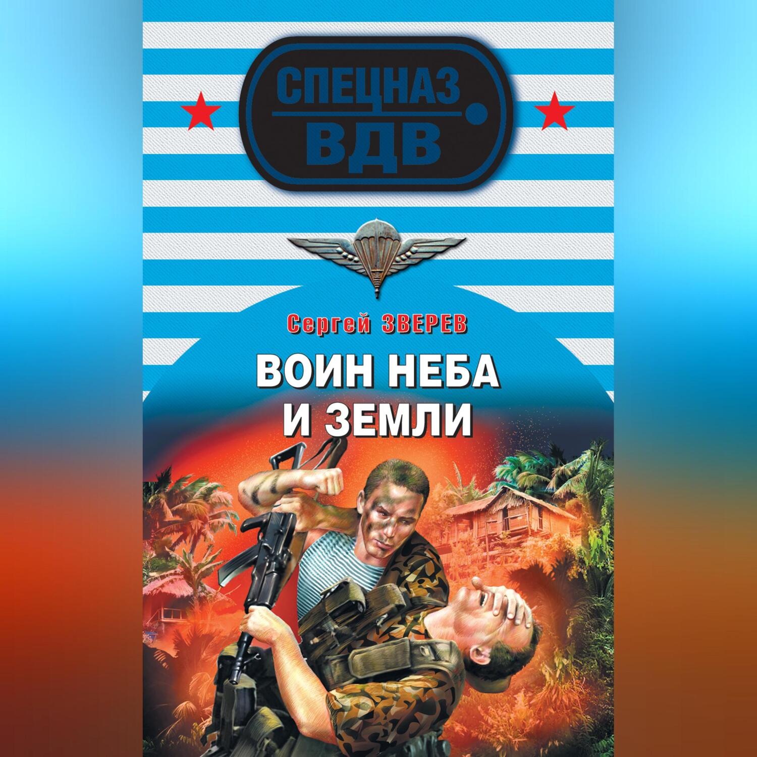 Обложка книги «Воин неба и земли»