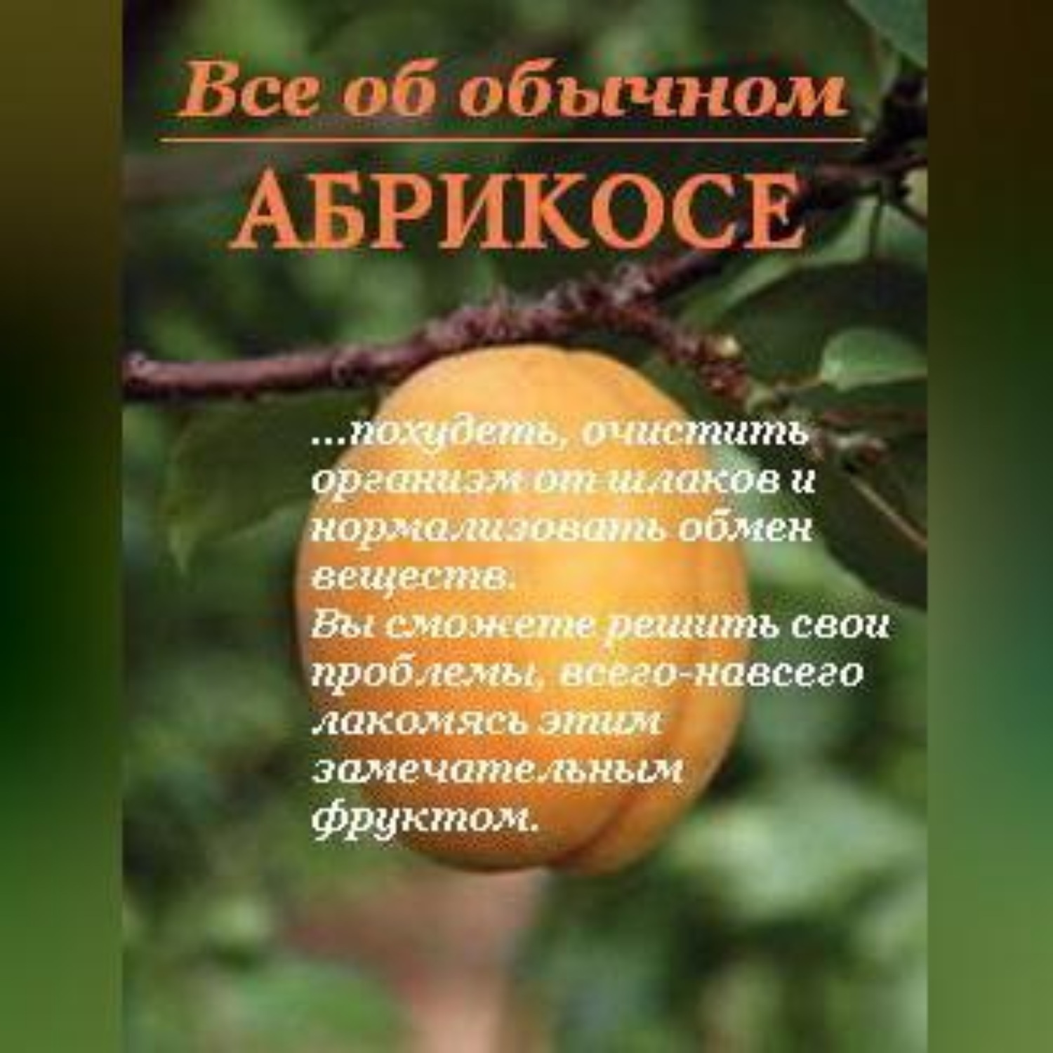 Обложка книги «Все об обычном абрикосе»