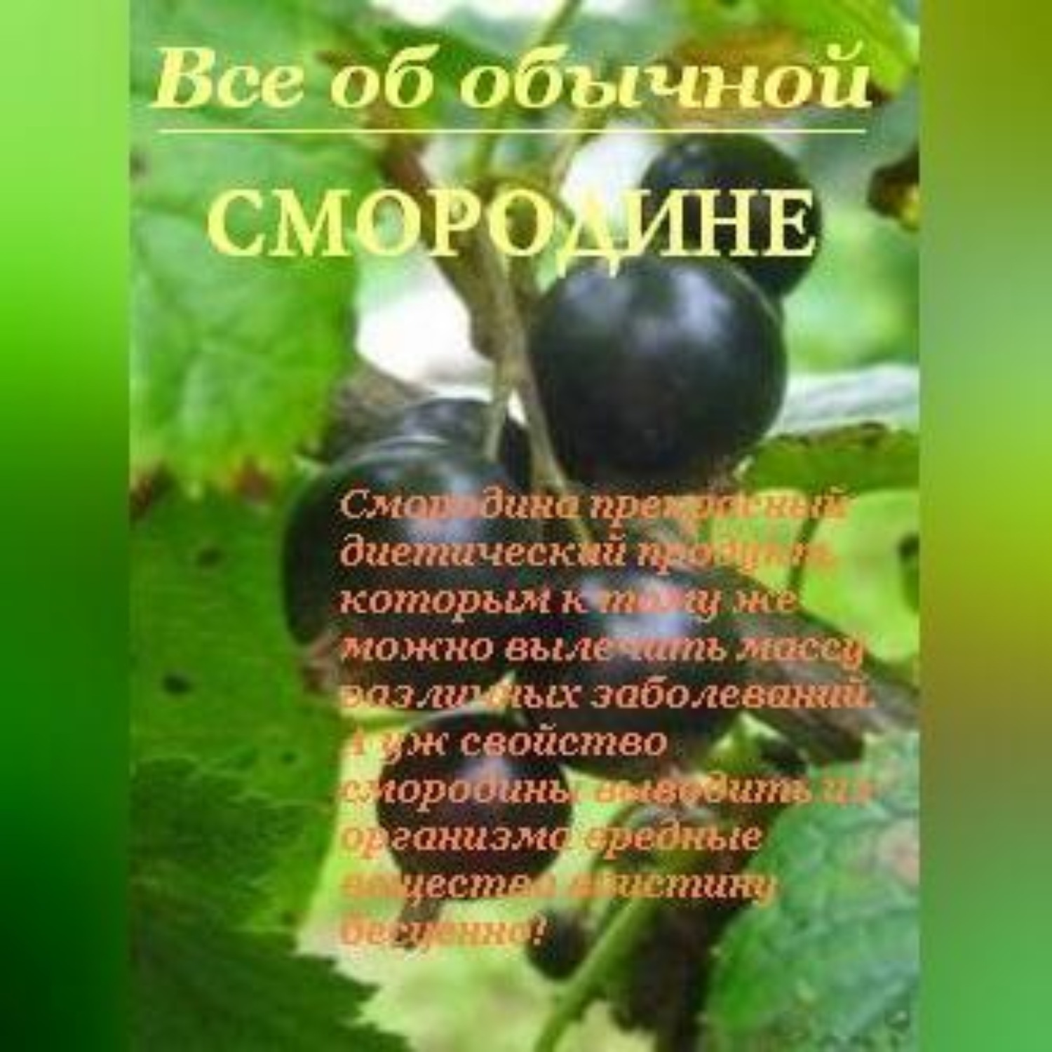 Обложка книги «Все об обычной смородине»