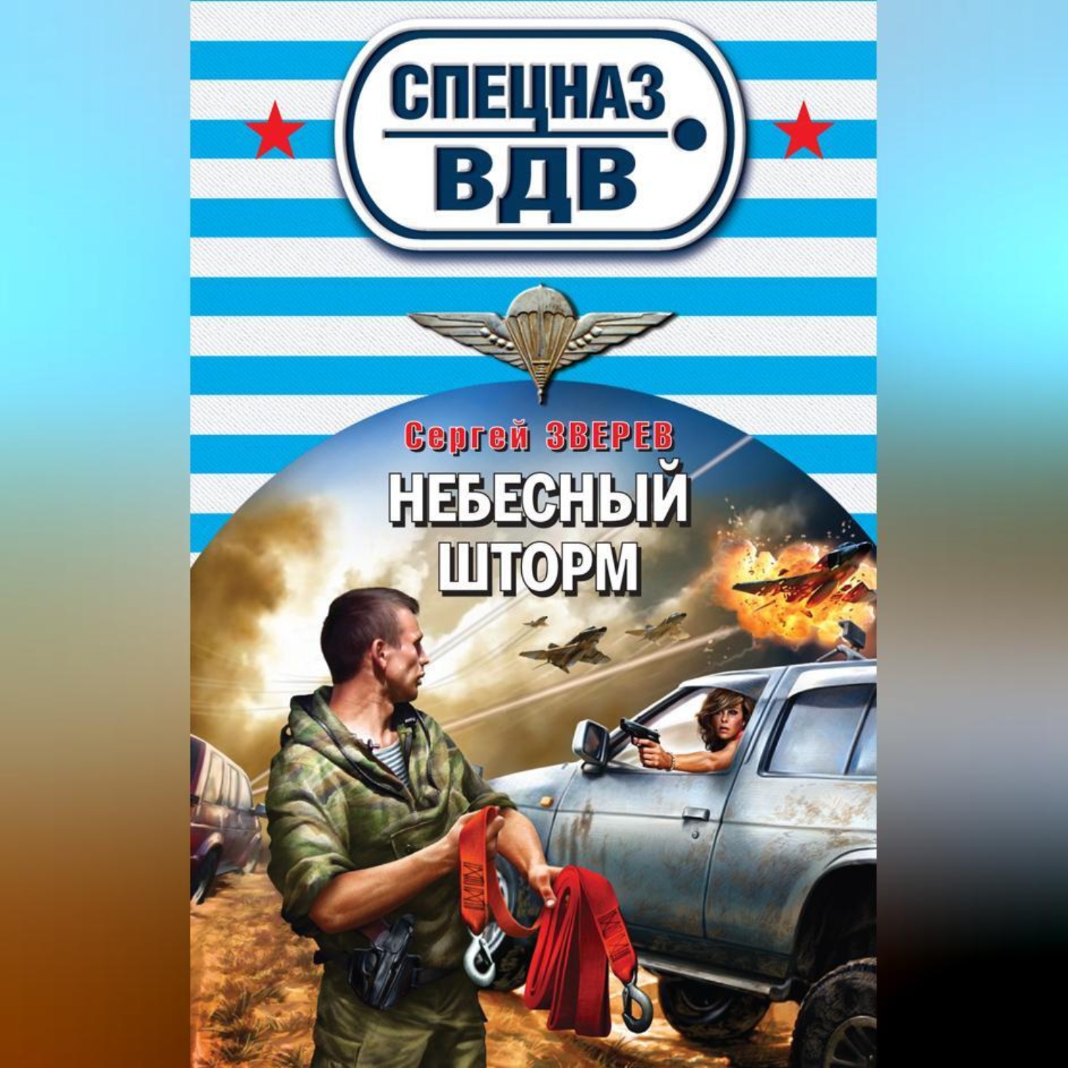 Обложка книги «Небесный шторм»
