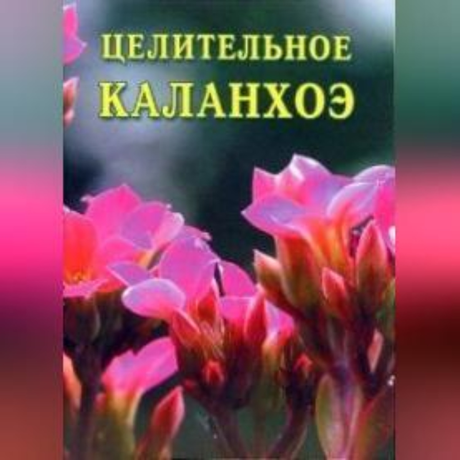 Обложка книги «Целительное каланхоэ»