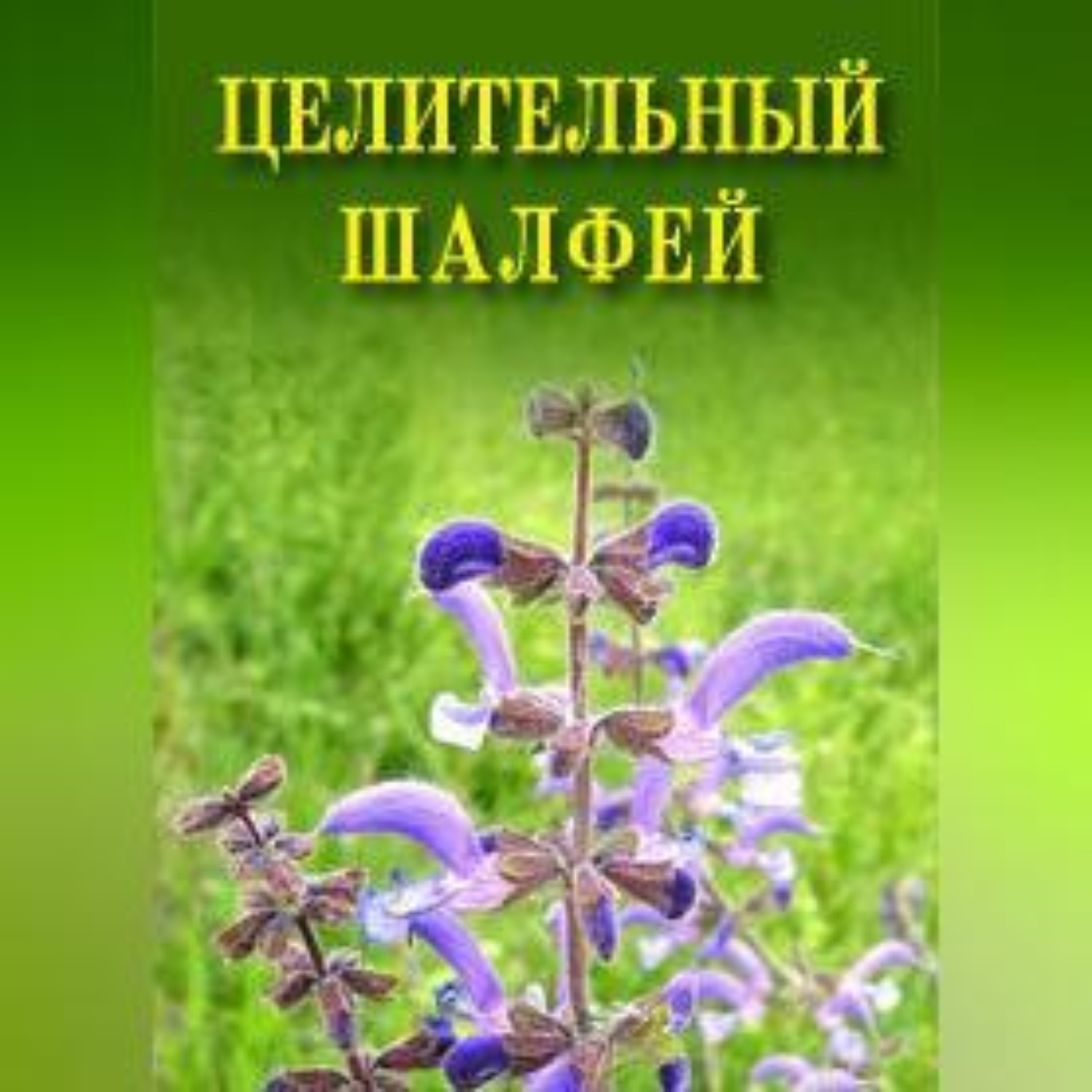 Обложка книги «Целительный шалфей»