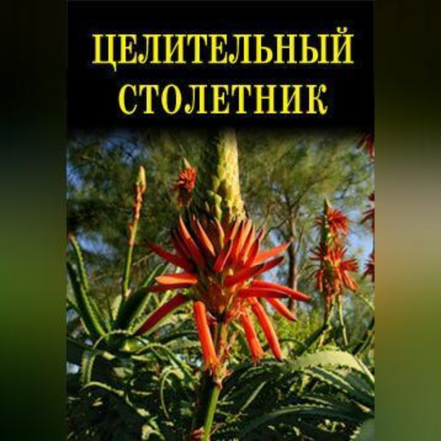 Обложка книги «Целительный столетник»