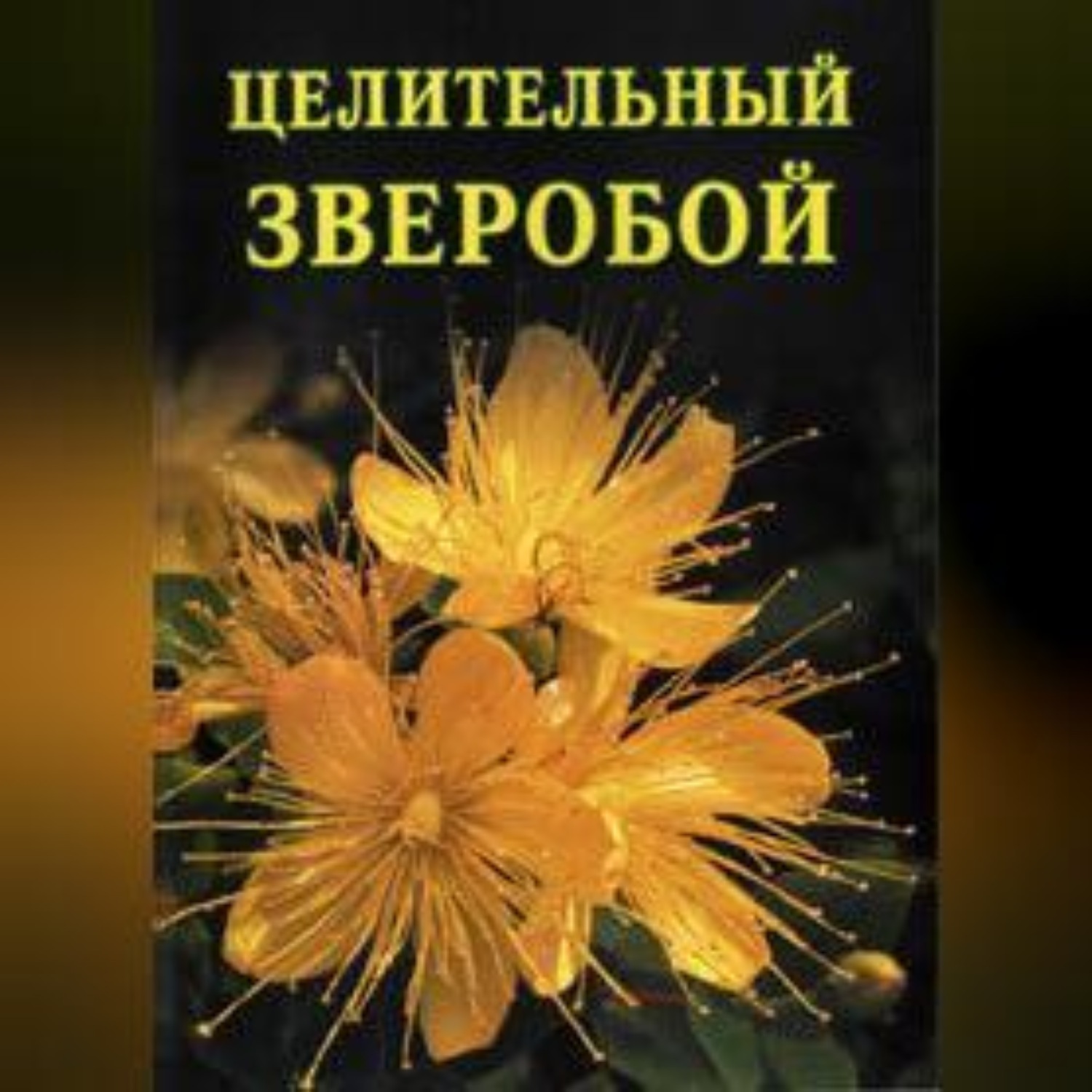 Обложка книги «Целительный зверобой»