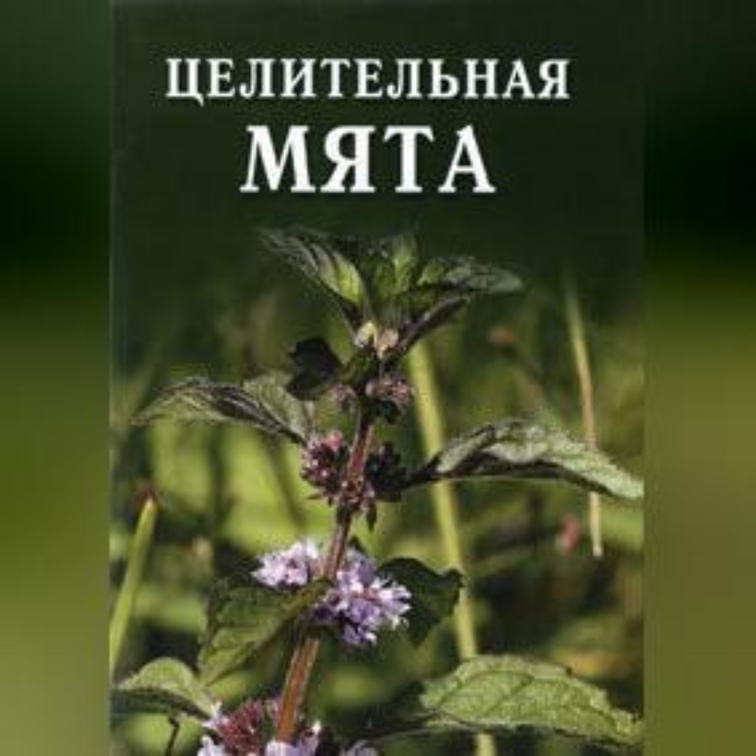 Обложка книги «Целительная мята»
