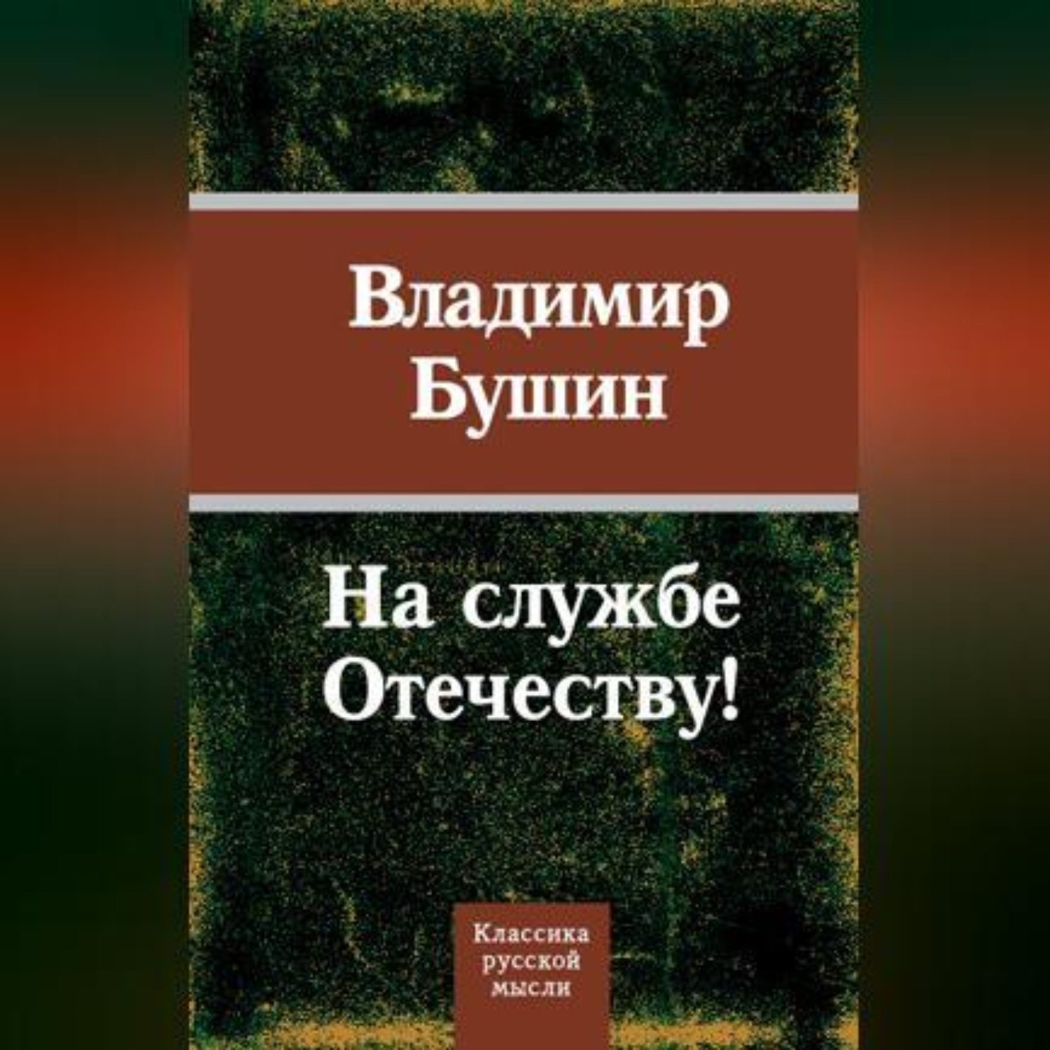 Обложка книги «На службе Отечеству!»
