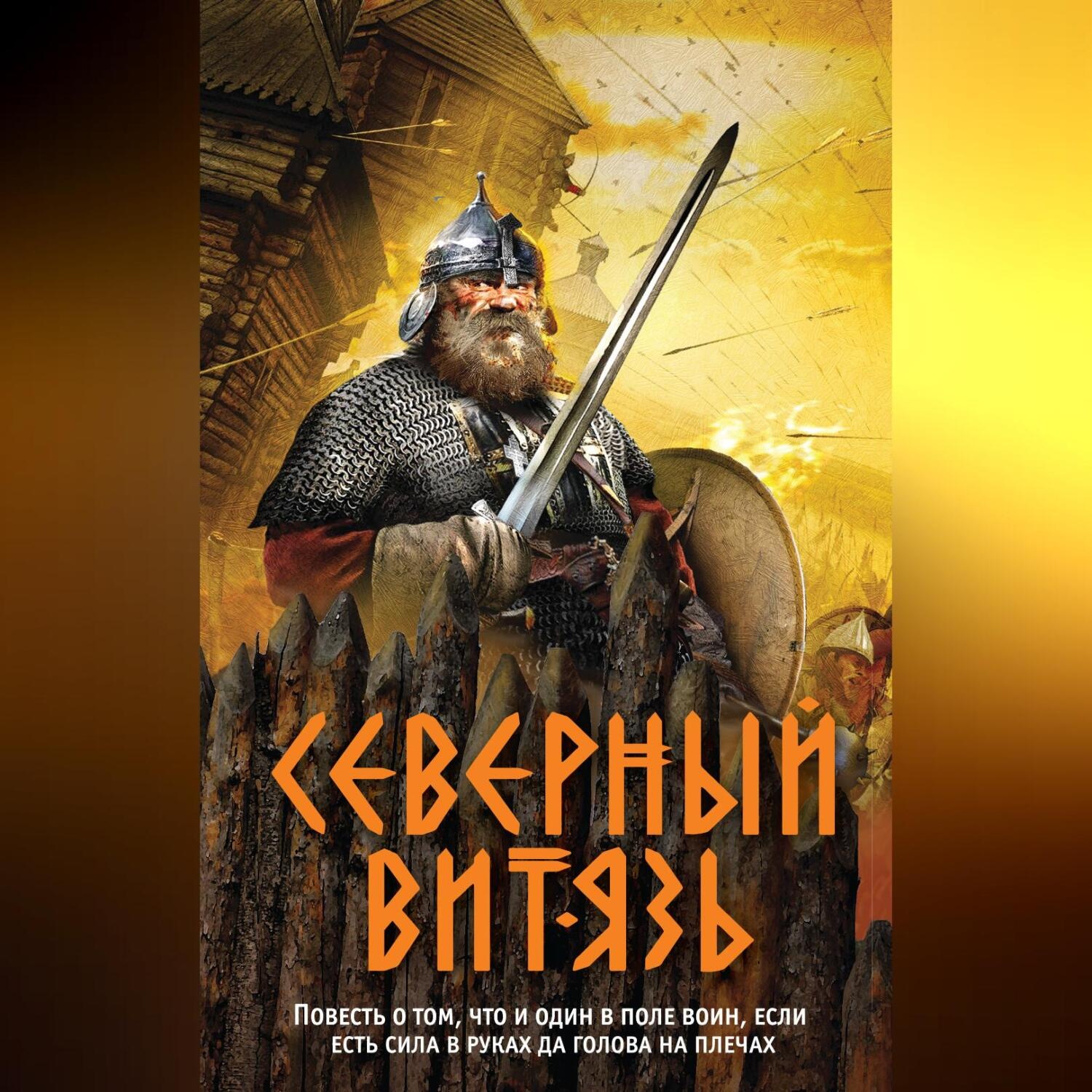 Обложка книги «Северный витязь»