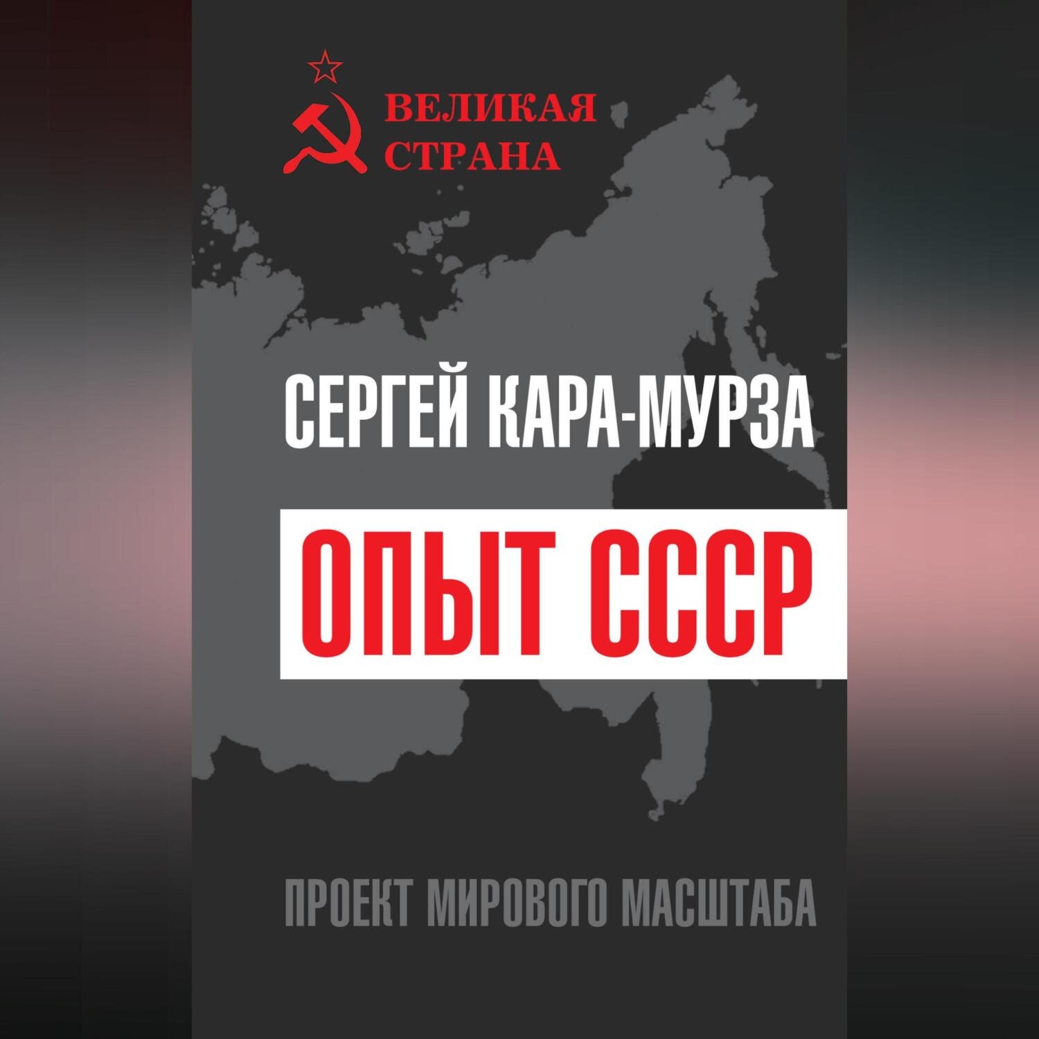 Обложка книги «Опыт СССР. Проект мирового масштаба»