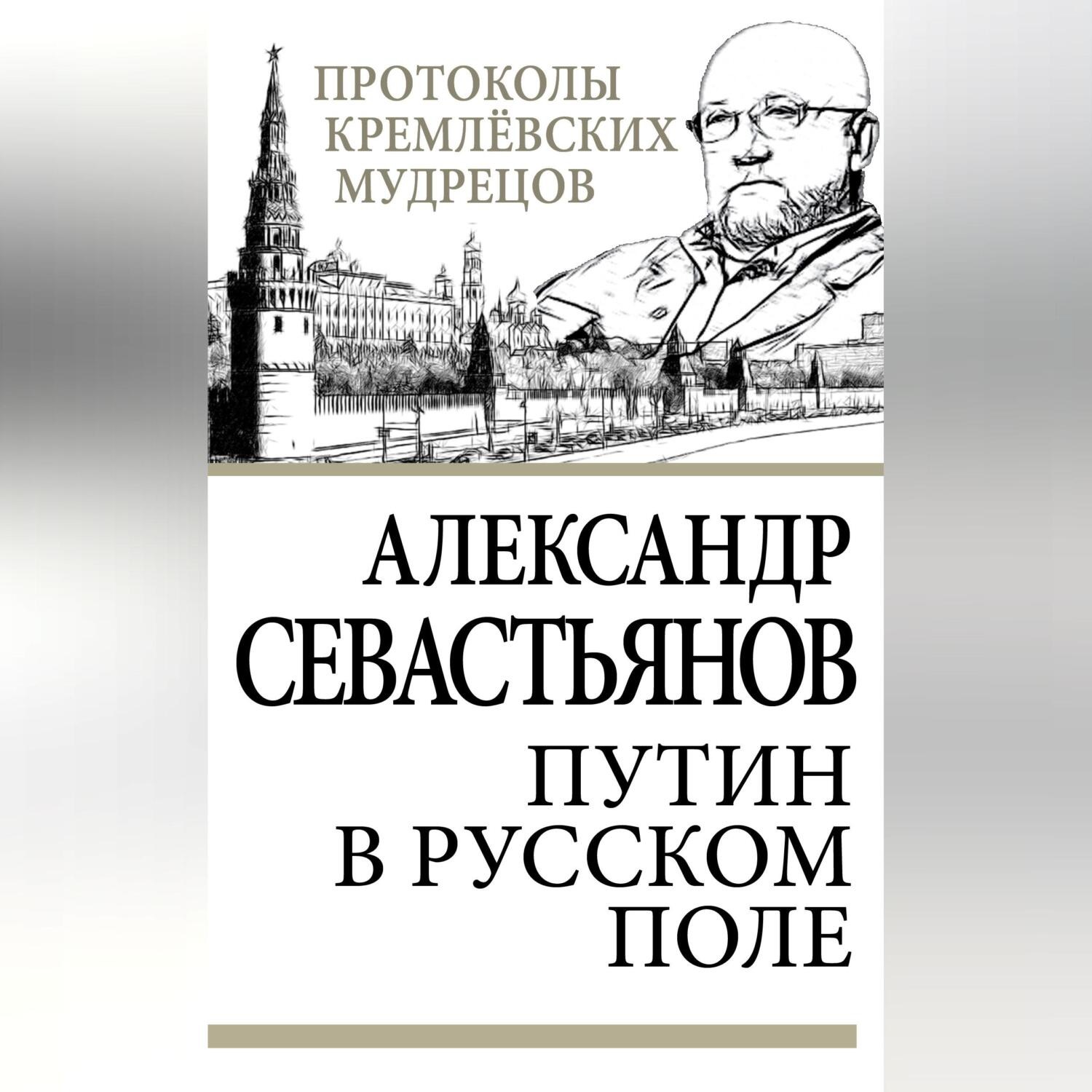 Обложка книги «Путин в русском поле»