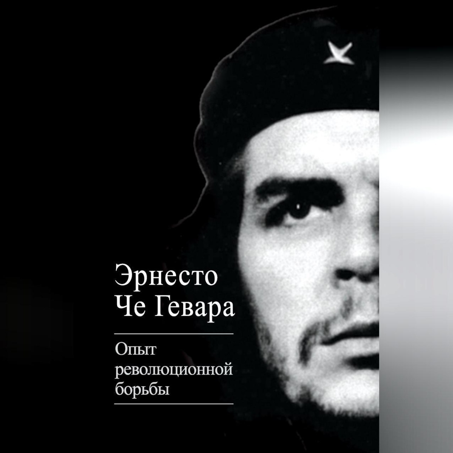 Обложка книги «Опыт революционной борьбы»