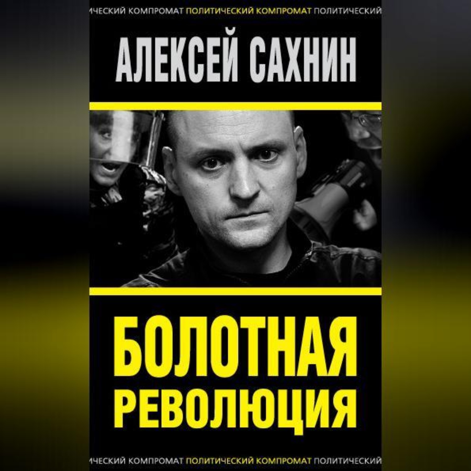 Обложка книги «Болотная революция»