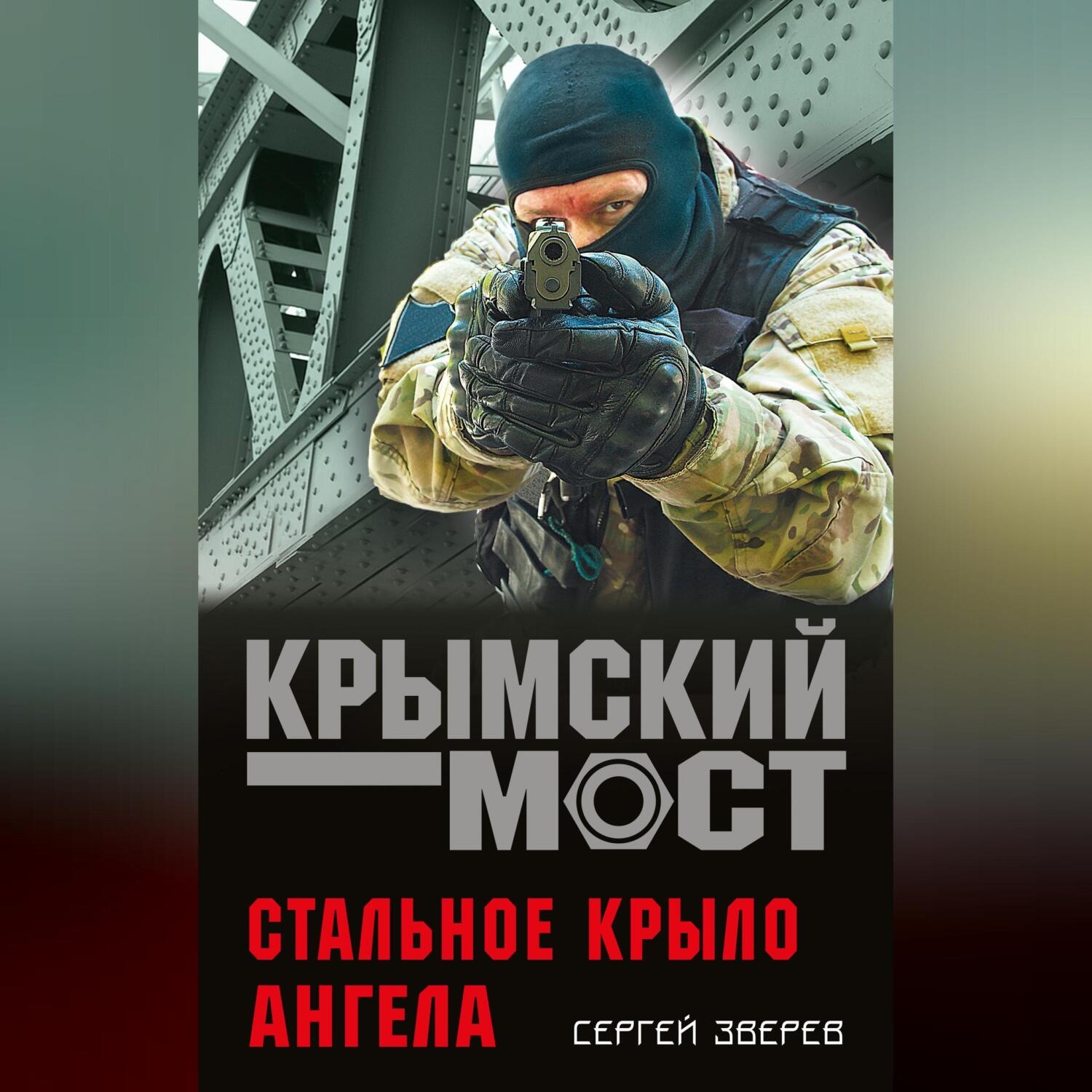 Обложка книги «Стальное крыло ангела»